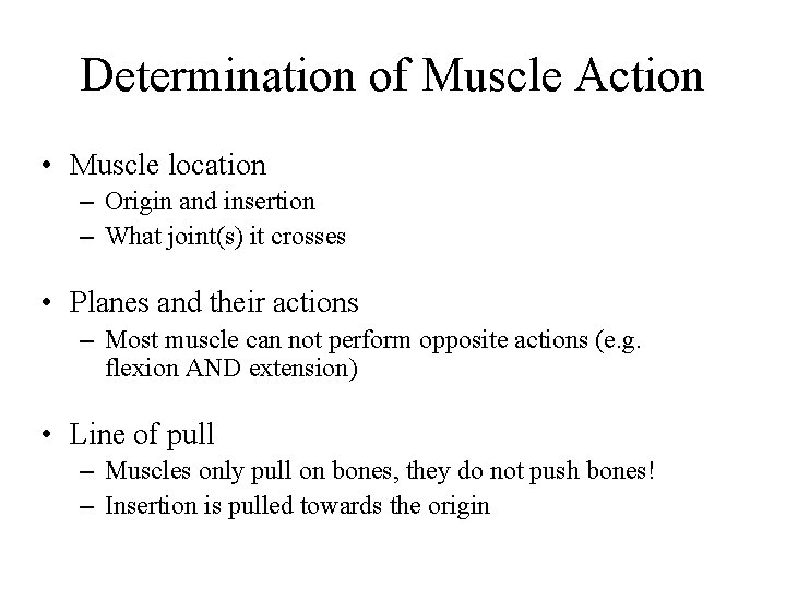 Determination of Muscle Action • Muscle location – Origin and insertion – What joint(s)