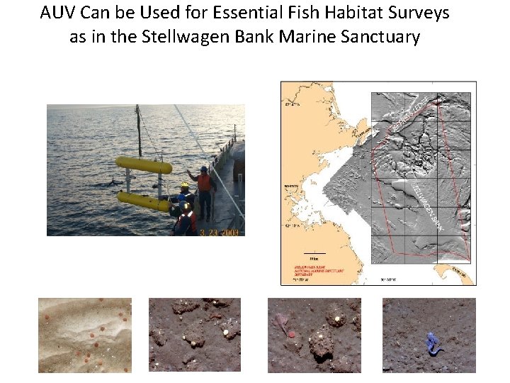 AUV Can be Used for Essential Fish Habitat Surveys as in the Stellwagen Bank
