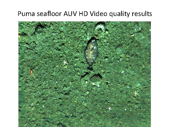 Puma seafloor AUV HD Video quality results 