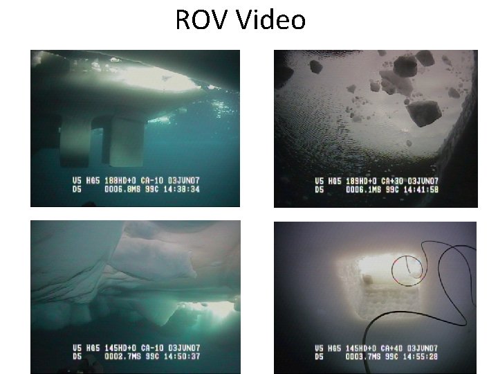 ROV Video 