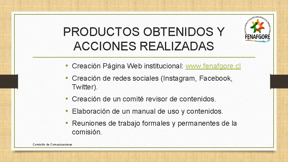 PRODUCTOS OBTENIDOS Y ACCIONES REALIZADAS • Creación Página Web institucional: www. fenafgore. cl •