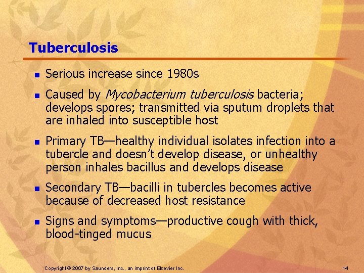 Tuberculosis n n n Serious increase since 1980 s Caused by Mycobacterium tuberculosis bacteria;