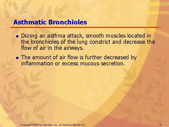 Asthmatic Bronchioles n n During an asthma attack, smooth muscles located in the bronchioles