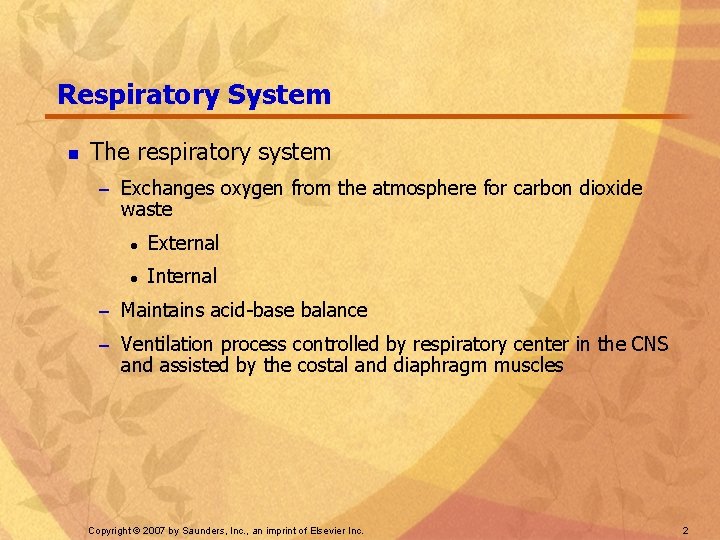 Respiratory System n The respiratory system – Exchanges oxygen from the atmosphere for carbon