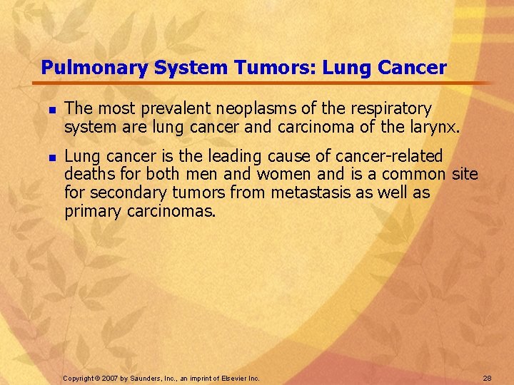 Pulmonary System Tumors: Lung Cancer n n The most prevalent neoplasms of the respiratory