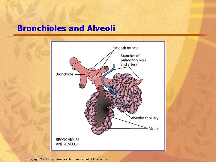 Bronchioles and Alveoli Copyright © 2007 by Saunders, Inc. , an imprint of Elsevier