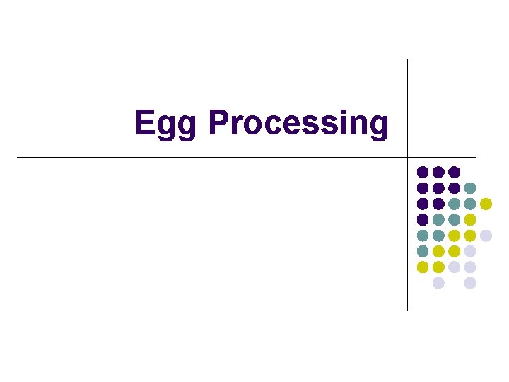 Egg Processing 