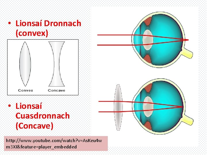 • Lionsaí Dronnach (convex) • Lionsaí Cuasdronnach (Concave) http: //www. youtube. com/watch? v=As.