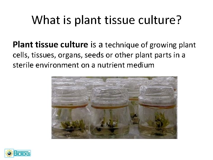 What is plant tissue culture? Plant tissue culture is a technique of growing plant