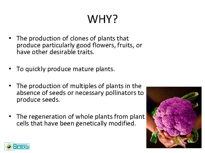 WHY? • The production of clones of plants that produce particularly good flowers, fruits,