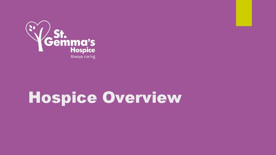 Hospice Overview 