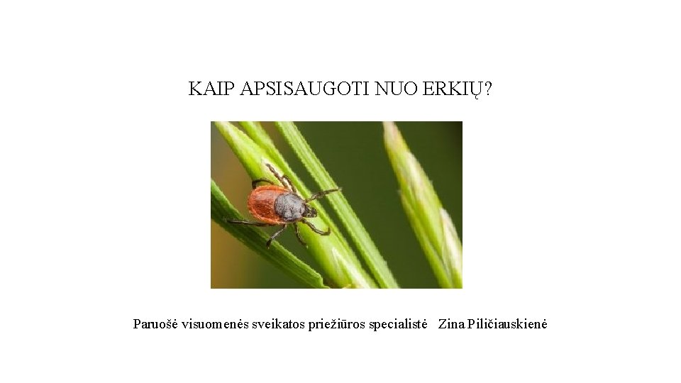 KAIP APSISAUGOTI NUO ERKIŲ? Paruošė visuomenės sveikatos priežiūros specialistė Zina Piličiauskienė 