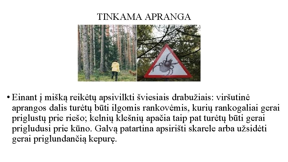 TINKAMA APRANGA • Einant į mišką reikėtų apsivilkti šviesiais drabužiais: viršutinė aprangos dalis turėtų