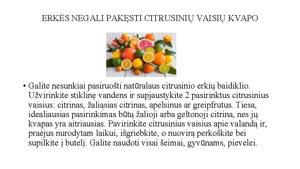 ERKĖS NEGALI PAKĘSTI CITRUSINIŲ VAISIŲ KVAPO • Galite nesunkiai pasiruošti natūralaus citrusinio erkių baidiklio.