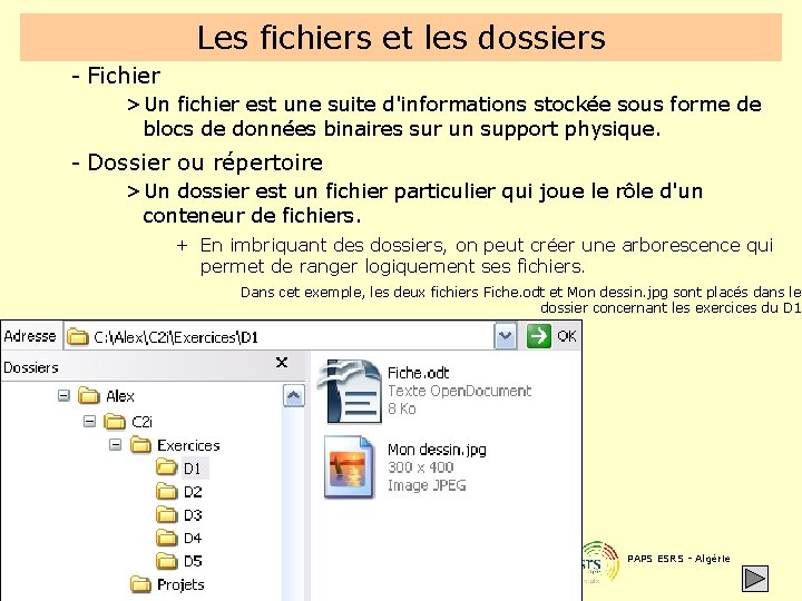 Les fichiers et les dossiers - Fichier > Un fichier est une suite d'informations