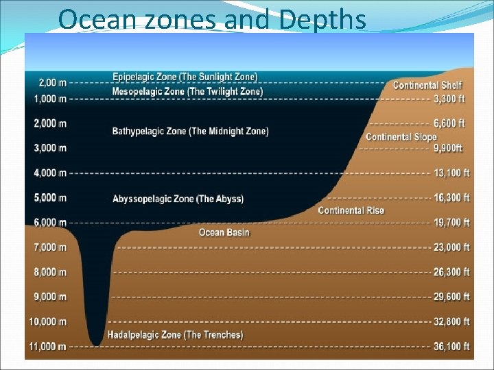 Ocean zones and Depths 