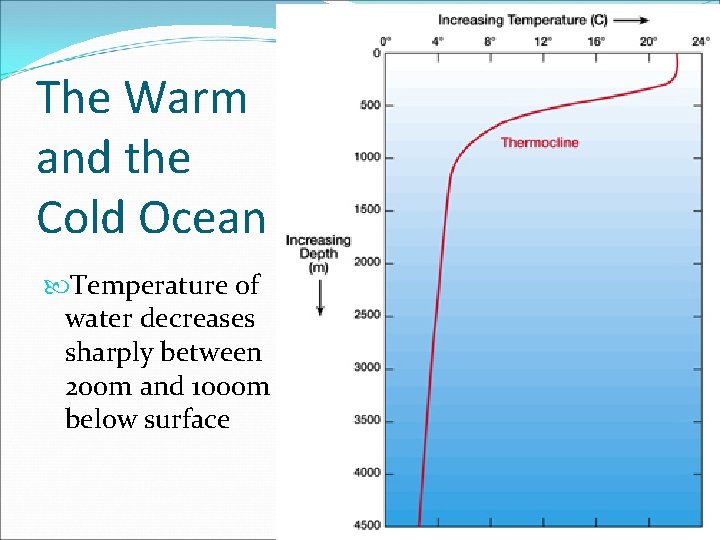 The Warm and the Cold Ocean Temperature of water decreases sharply between 200 m