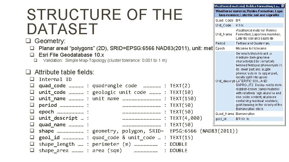 STRUCTURE OF THE DATASET q Geometry: q Planar areal “polygons” (2 D), SRID=EPSG: 6566