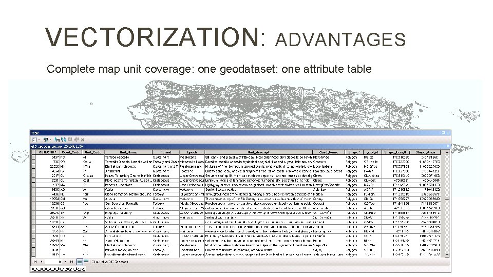 VECTORIZATION: ADVANTAGES Complete map unit coverage: one geodataset: one attribute table 