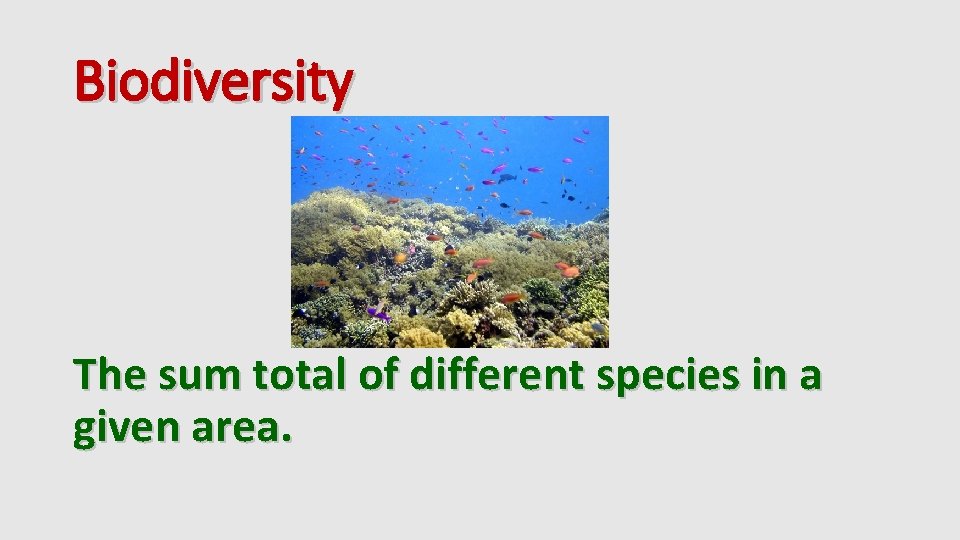 Biodiversity The sum total of different species in a given area. 