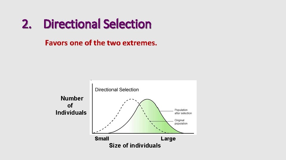 2. Directional Selection Favors one of the two extremes. Number of Individuals Small Large