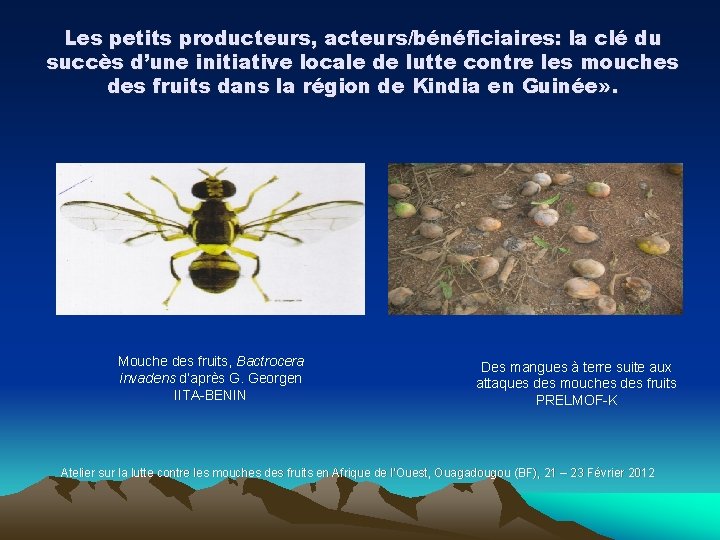 Les petits producteurs, acteurs/bénéficiaires: la clé du succès d’une initiative locale de lutte contre