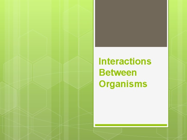 Interactions Between Organisms 