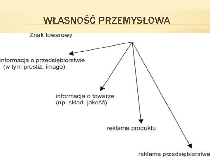 WŁASNOŚĆ PRZEMYSŁOWA 