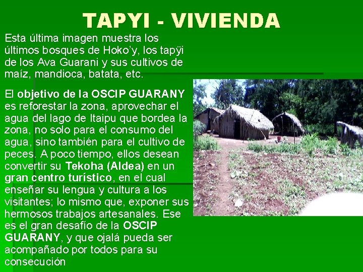 TAPYI - VIVIENDA Esta última imagen muestra los últimos bosques de Hoko’y, los tapÿi