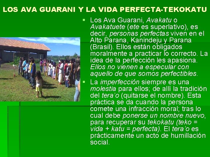 LOS AVA GUARANI Y LA VIDA PERFECTA-TEKOKATU § Los Ava Guarani, Avakatu o Avakatuete