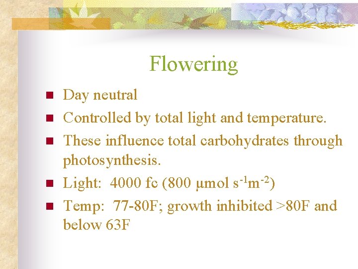 Flowering n n n Day neutral Controlled by total light and temperature. These influence