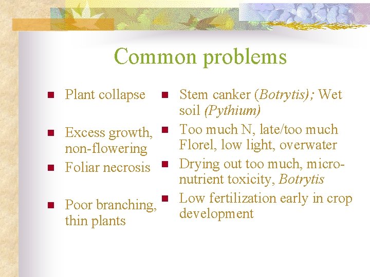 Common problems n Plant collapse n n Excess growth, non-flowering Foliar necrosis n Poor