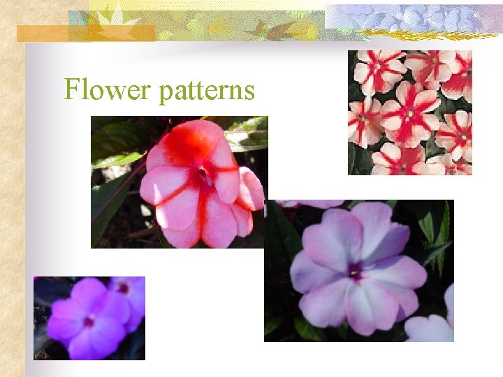 Flower patterns 