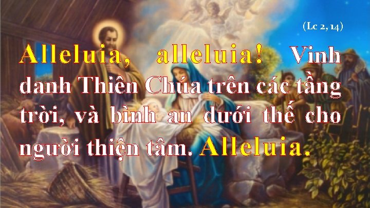 (Lc 2, 14) Alleluia, alleluia! Vinh danh Thiên Chúa trên các tầng trời, và