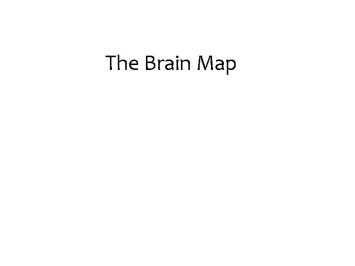 The Brain Map 