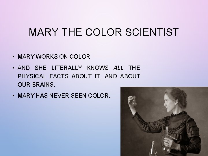 MARY THE COLOR SCIENTIST • MARY WORKS ON COLOR • AND SHE LITERALLY KNOWS