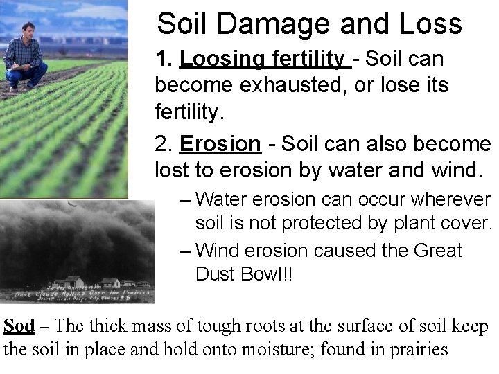 Soil Damage and Loss 1. Loosing fertility - Soil can become exhausted, or lose