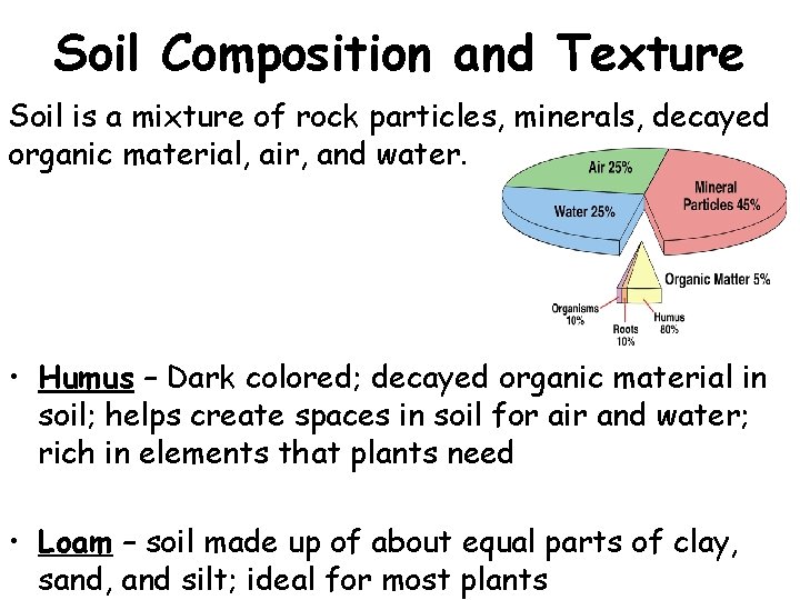 Soil Composition and Texture Soil is a mixture of rock particles, minerals, decayed organic