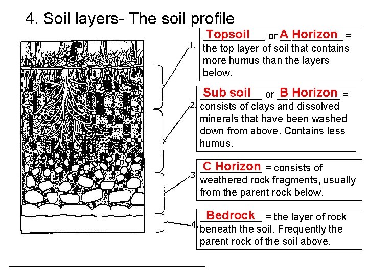 4. Soil layers- The soil profile Topsoil Horizon = ______ or A ______ the