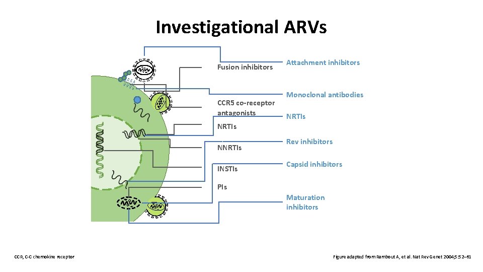 Investigational ARVs Fusion inhibitors CCR 5 co-receptor antagonists Attachment inhibitors Monoclonal antibodies NRTIs NNRTIs