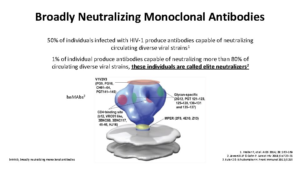 Broadly Neutralizing Monoclonal Antibodies 50% of individuals infected with HIV-1 produce antibodies capable of