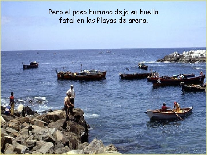 Pero el paso humano deja su huella fatal en las Playas de arena. 