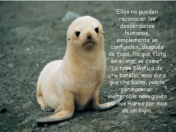 Ellos no pueden reconocer los desperdicios humanos, simplemente se confunden, después de todo, "lo