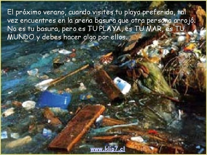 El próximo verano, cuando visites tu playa preferida, tal vez encuentres en la arena