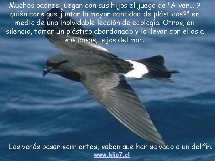 Muchos padres juegan con sus hijos el juego de "A ver. . . ?