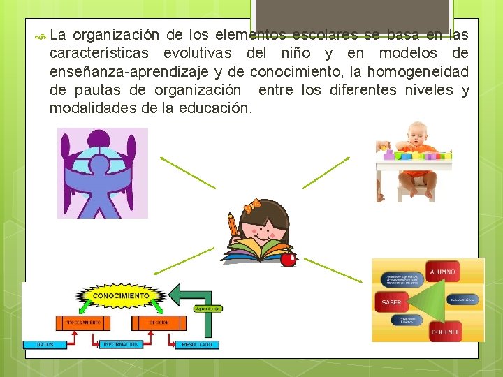  La organización de los elementos escolares se basa en las características evolutivas del