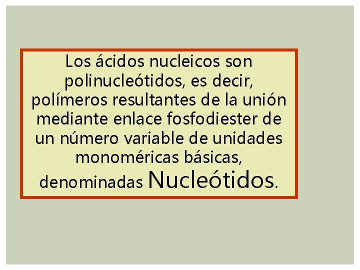 Los ácidos nucleicos son polinucleótidos, es decir, polímeros resultantes de la unión mediante enlace Los ácidos nucleicos son polinucleótidos, es decir, polímeros resultantes de la unión mediante enlace