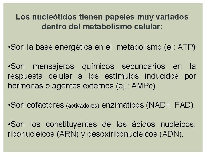 Los nucleótidos tienen papeles muy variados dentro del metabolismo celular: • Son la base Los nucleótidos tienen papeles muy variados dentro del metabolismo celular: • Son la base