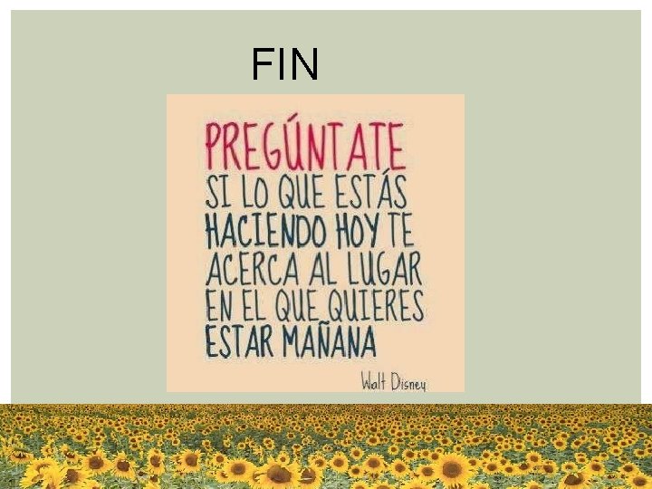 FIN FIN