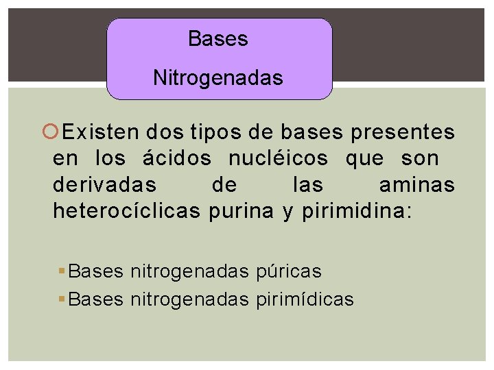 Bases Nitrogenadas Existen dos tipos de bases presentes en los ácidos nucléicos que son Bases Nitrogenadas Existen dos tipos de bases presentes en los ácidos nucléicos que son